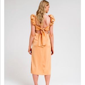 Scrunchie Sleeves Dress